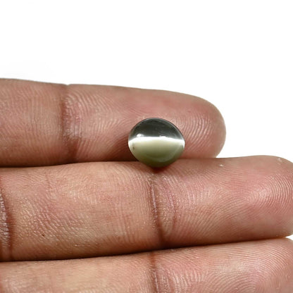Quartz Cat's Eye (Lehsunia) Carat 4.33