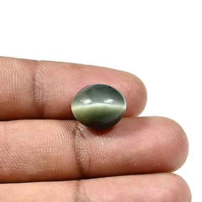 Quartz Cat`s Eye Carat 8.79