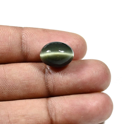 Quartz Cat`s Eye Carat 10.96