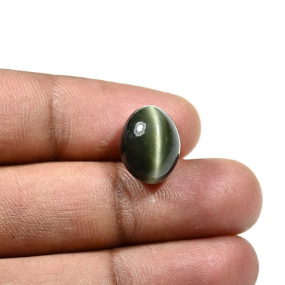 Quartz Cat`s Eye Carat 10.96