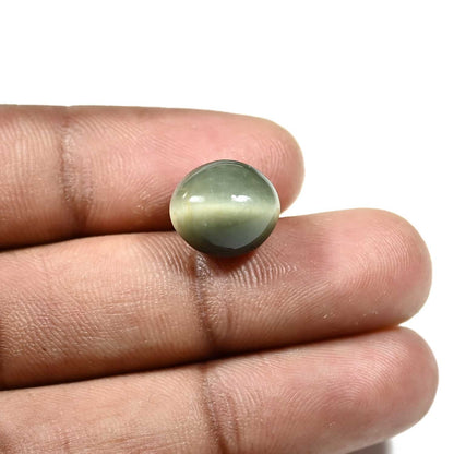 Quartz Cat`s Eye Carat 8.77
