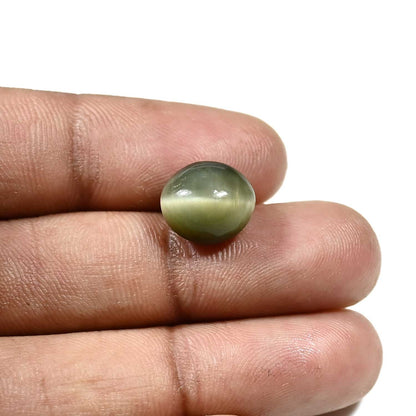Quartz Cat`s Eye Carat 6.67