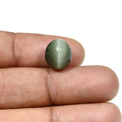 Quartz Cat`s Eye Carat 6.97