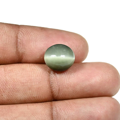 Quartz Cat`s Eye Carat 6.97