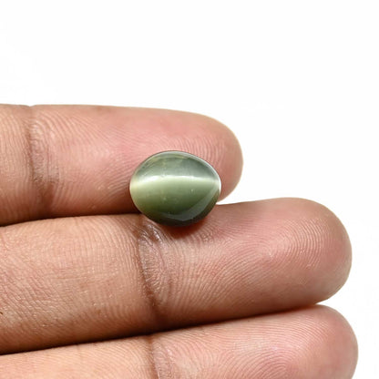 Quartz Cat`s Eye Carat 7.11