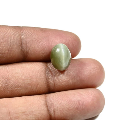 Quartz Cat`s Eye Carat 7.13