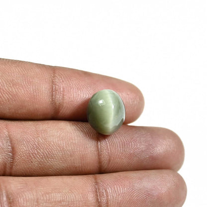 Quartz Cat's Eye (Lehsunia) Carat 10.38