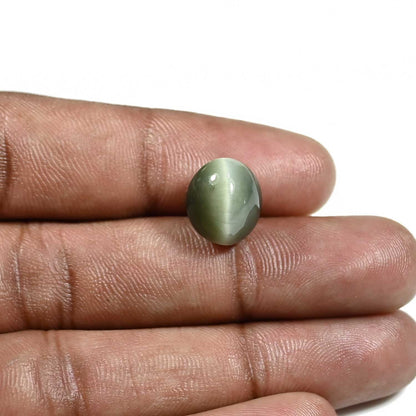 Quartz Cat's Eye (Lehsunia) Carat 8.95