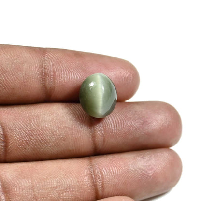 Quartz Cat's Eye (Lehsunia) Carat 8.57