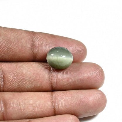 Quartz Cat's Eye (Lehsunia) Carat 8.95