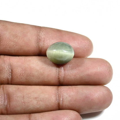 Quartz Cat's Eye (Lehsunia) Carat 10.57