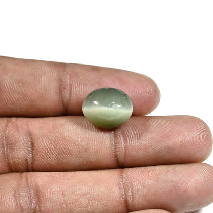 Quartz Cat's Eye (Lehsunia) Carat 9.6