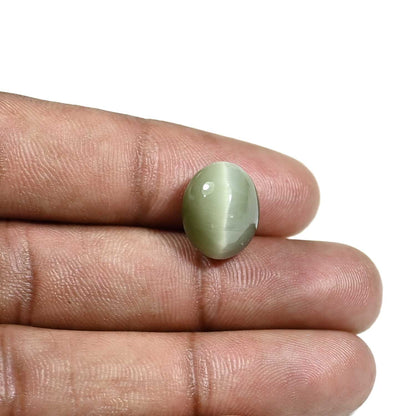 Quartz Cat's Eye (Lehsunia) Carat 9.6
