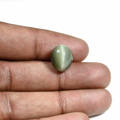Quartz Cat's Eye (Lehsunia) Carat 9.01
