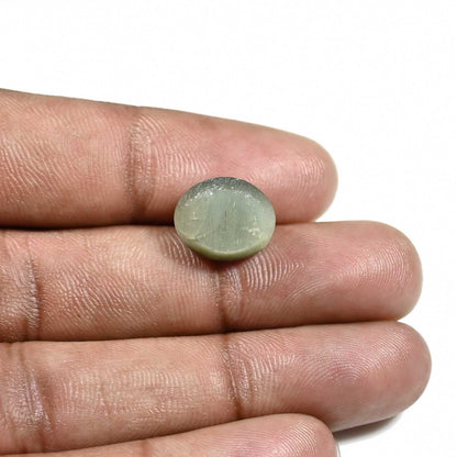 Quartz Cat's Eye (Lehsunia) Carat 9.01