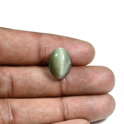 Quartz Cat's Eye (Lehsunia) Carat 10.08
