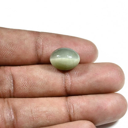 Quartz Cat's Eye (Lehsunia) Carat 9.01