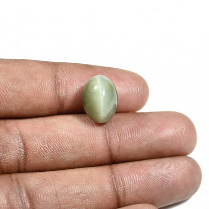 Quartz Cat's Eye (Lehsunia) Carat 9.01
