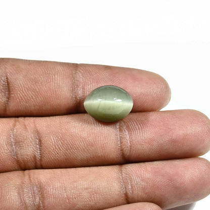 Quartz Cat's Eye (Lehsunia) Carat 9.24