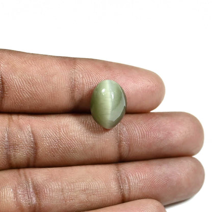 Quartz Cat's Eye (Lehsunia) Carat 9.24