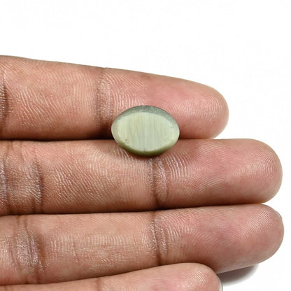 Quartz Cat's Eye (Lehsunia) Carat 9.24