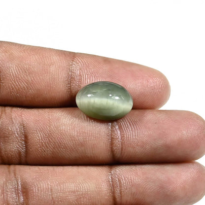 Quartz Cat's Eye (Lehsunia) Carat 8.16