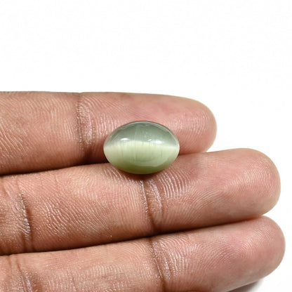 Quartz Cat's Eye (Lehsunia) Carat 9.56