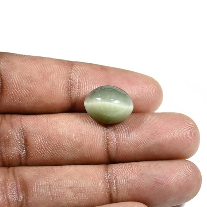 Quartz Cat's Eye (Lehsunia) Carat 9.2