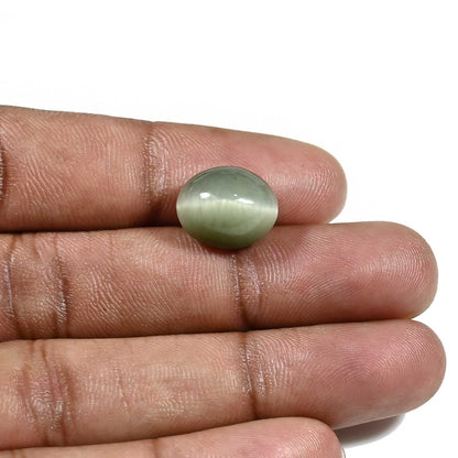 Quartz Cat's Eye (Lehsunia) Carat 8.79