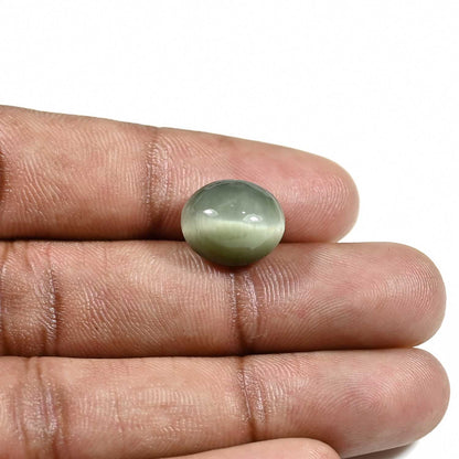 Quartz Cat's Eye (Lehsunia) Carat 8.98