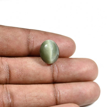 Quartz Cat's Eye (Lehsunia) Carat 8.98