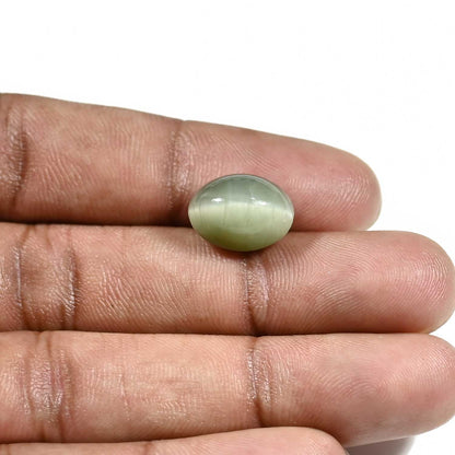 Quartz Cat's Eye (Lehsunia) Carat 8.91