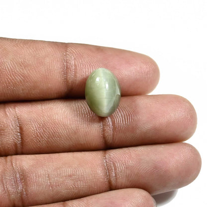 Quartz Cat's Eye (Lehsunia) Carat 8.91