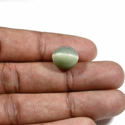 Quartz Cat's Eye (Lehsunia) Carat 9.21