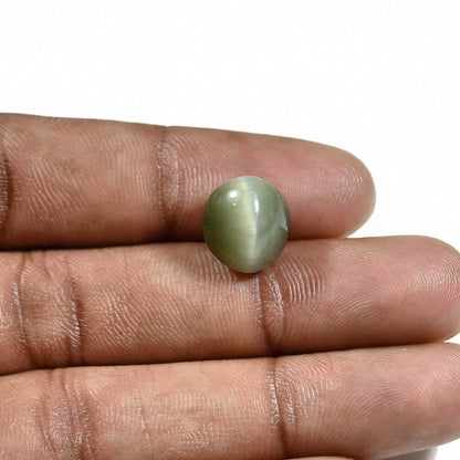 Quartz Cat's Eye (Lehsunia) Carat 9.21
