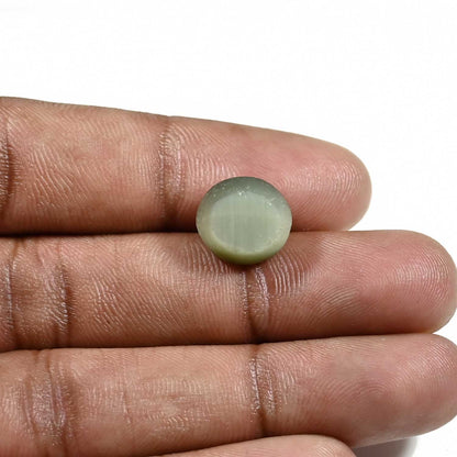 Quartz Cat's Eye (Lehsunia) Carat 9.21