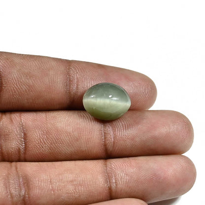 Quartz Cat's Eye (Lehsunia) Carat 9.06