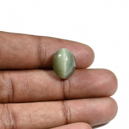 Quartz Cat's Eye (Lehsunia) Carat 9.06
