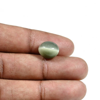 Quartz Cat's Eye (Lehsunia) Carat 7.62