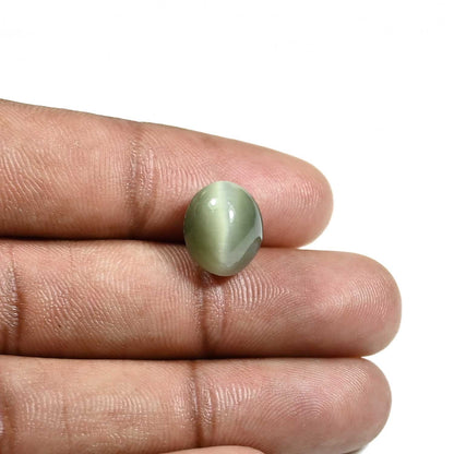 Quartz Cat's Eye (Lehsunia) Carat 7.62