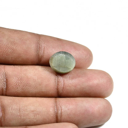 Quartz Cat's Eye (Lehsunia) Carat 7.62