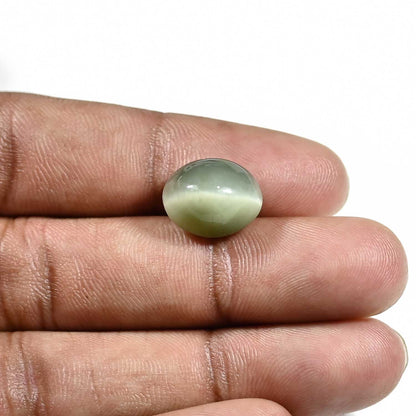 Quartz Cat's Eye (Lehsunia) Carat 9.65