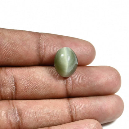 Quartz Cat's Eye (Lehsunia) Carat 9.65