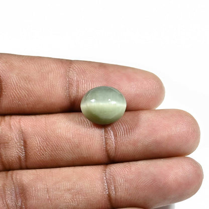 Quartz Cat's Eye (Lehsunia) Carat 8.7