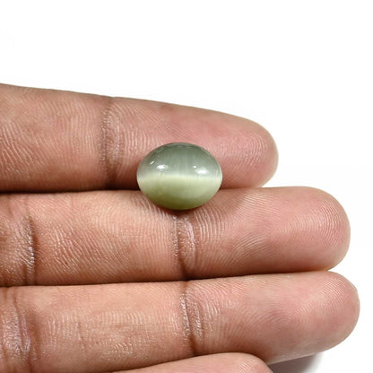 Quartz Cat's Eye (Lehsunia) Carat 7.46