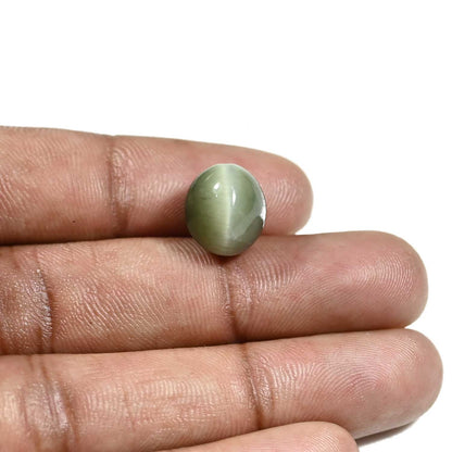 Quartz Cat's Eye (Lehsunia) Carat 9.52