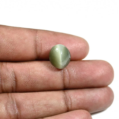 Quartz Cat's Eye (Lehsunia) Carat 7.34