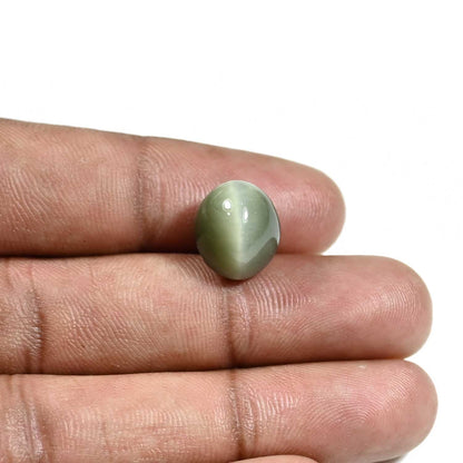 Quartz Cat's Eye (Lehsunia) Carat 9.2