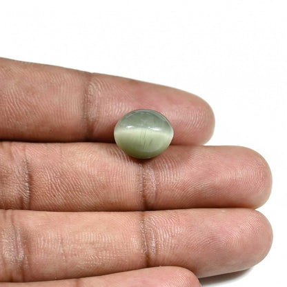 Quartz Cat's Eye (Lehsunia) Carat 7.22