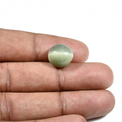 Quartz Cat's Eye (Lehsunia) Carat 8.3